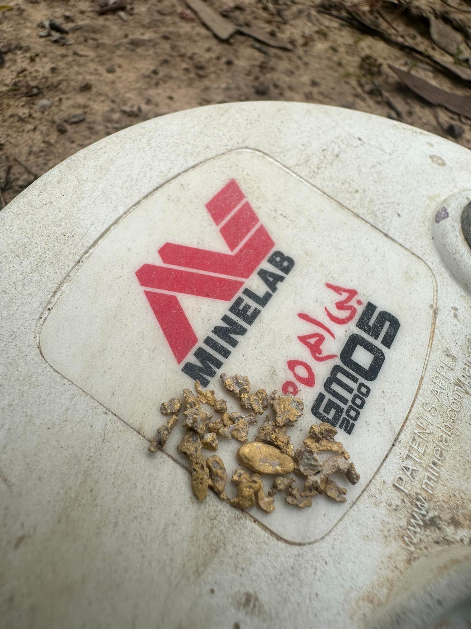 gold nuggets found on the top of coil